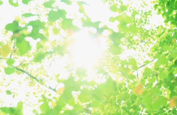 高浜市で、店舗の施工リフォームをお考えなら、夢をかたちにする株式会社ダイアサへ。